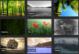 simple hover effects with css webkit filters